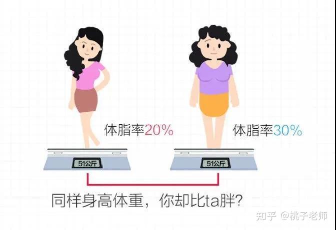 清华同方体脂秤 好体知体脂称 体重秤家用电子秤 app蓝牙脂肪秤 精准