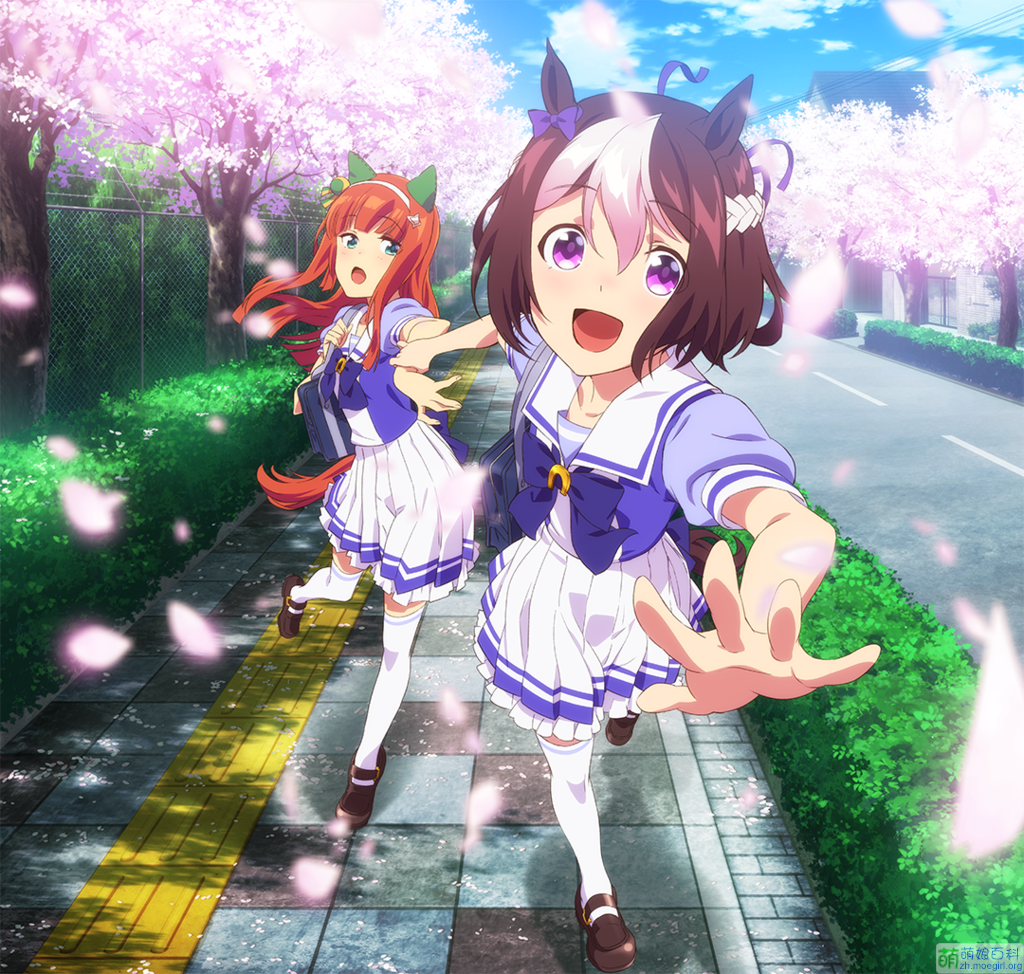 《赛马娘》——现实远比故事来的精彩