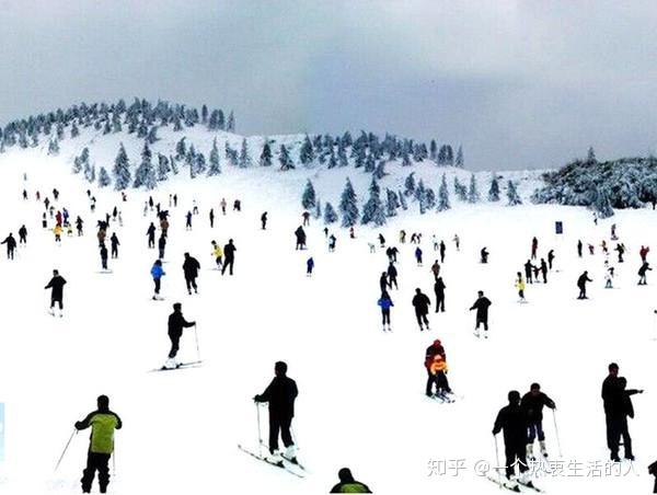 龙池森林公园滑雪场