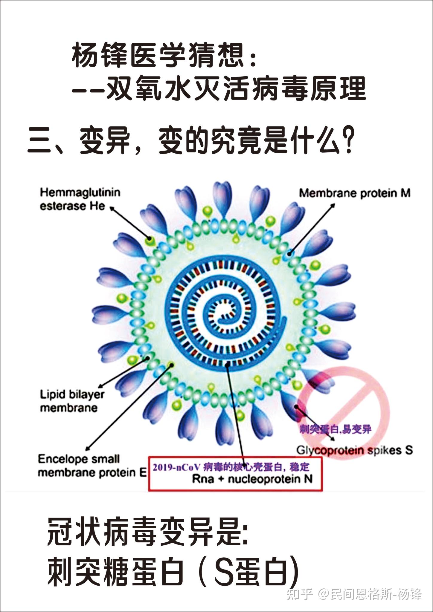 假说过氧化氢双氧水灭活病毒背后的底层逻辑与原理