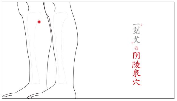 取穴:在小腿前外侧,膝盖凹陷处下方约3寸(4横指),距胫骨外侧约1横