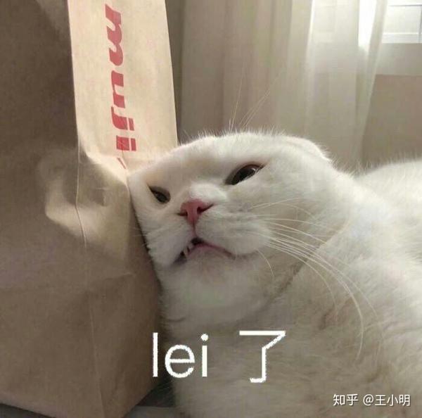 有哪些搞笑的猫咪表情包?