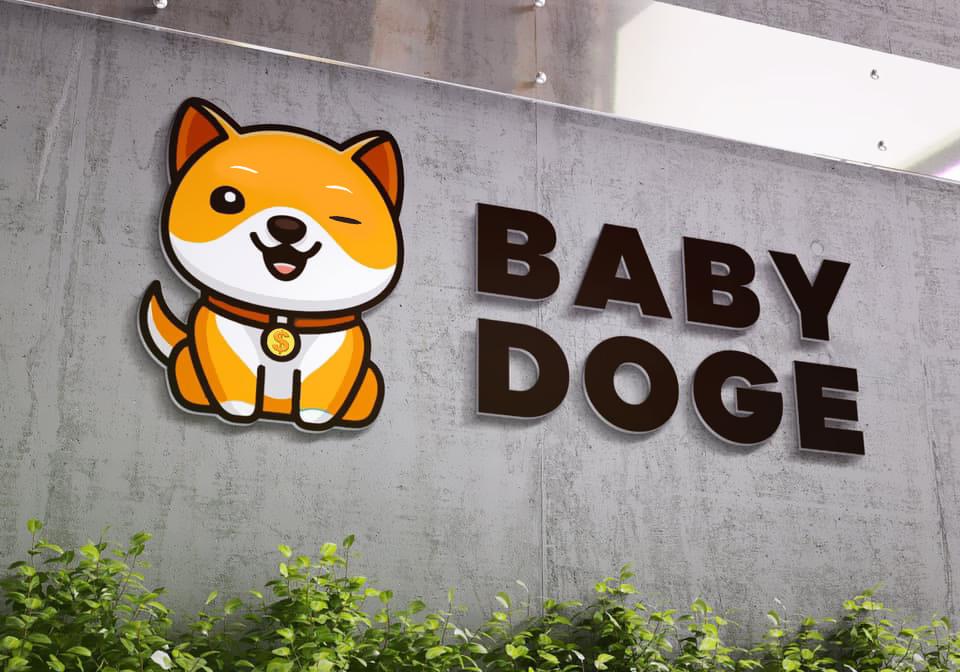 8月3日宝贝狗babydogecoin上线uniswap-v3