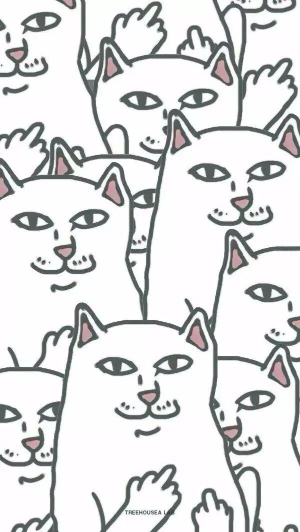 有哪些比较高冷又霸气的壁纸?比如下面这些?