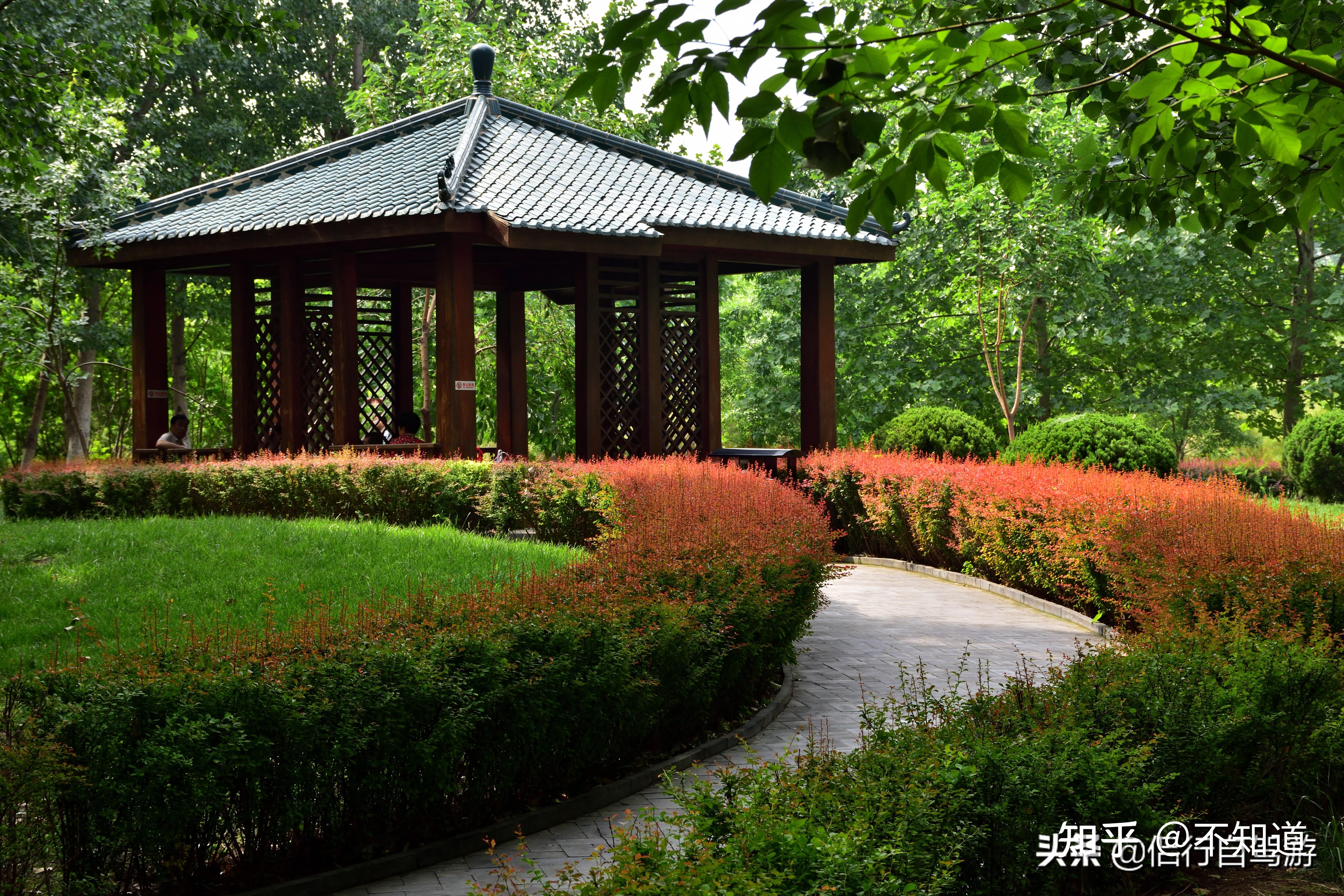 塘沽森林公园