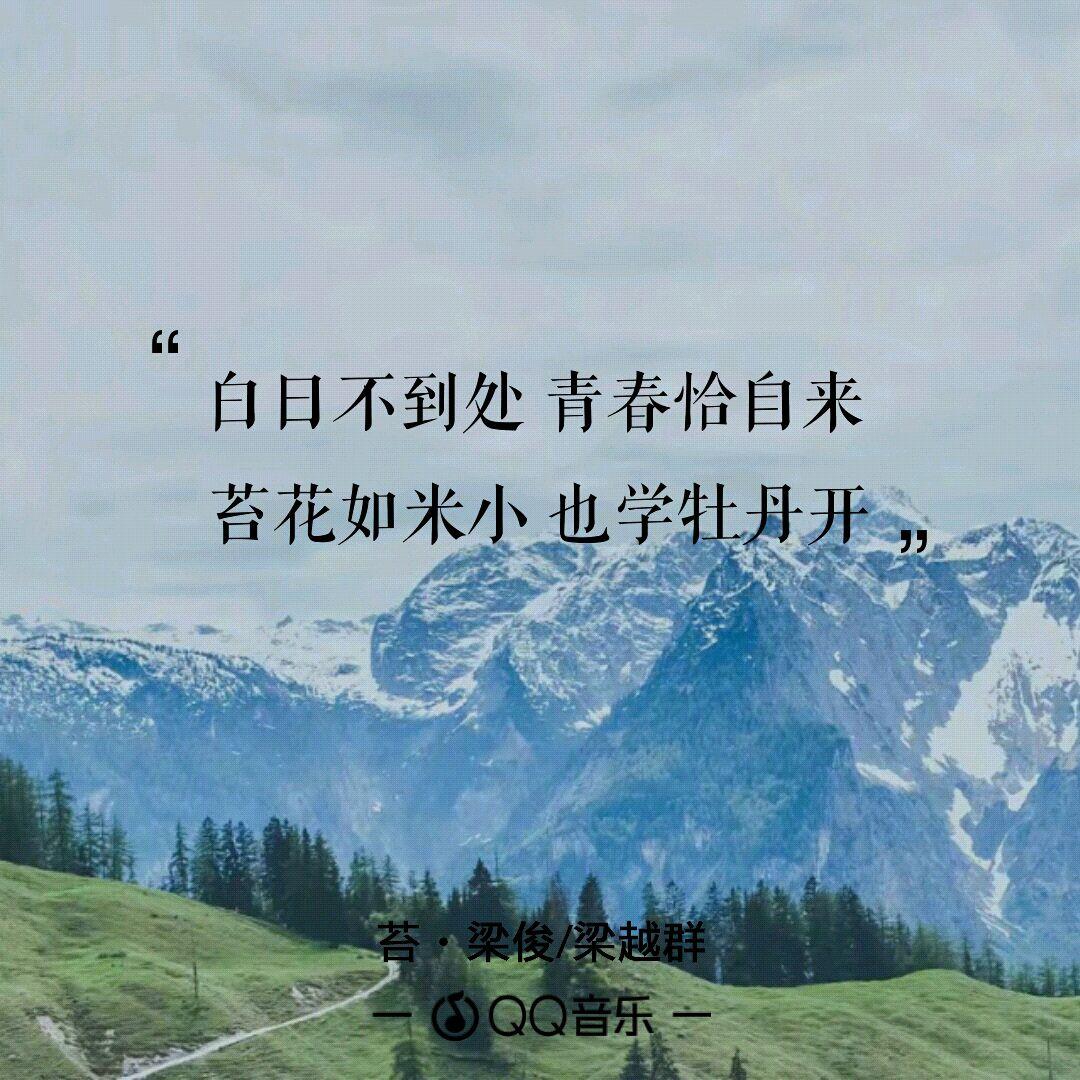 如何评价经典咏流传的歌曲苔