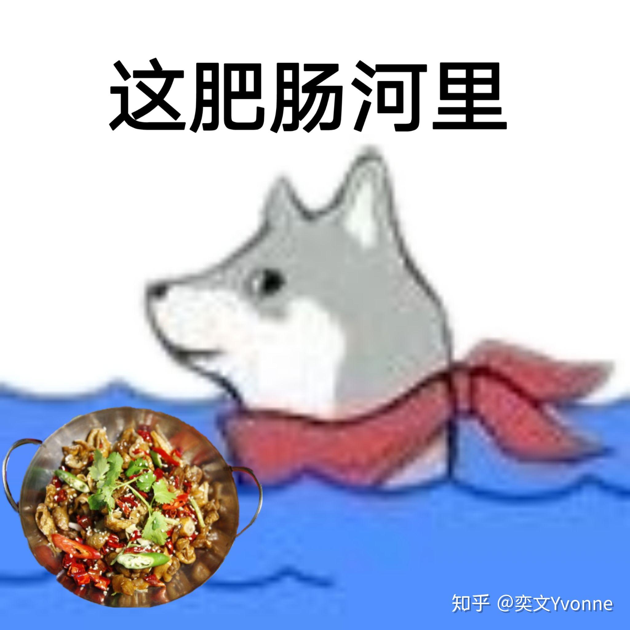 这一系列表情包这河里吗还有更多的么