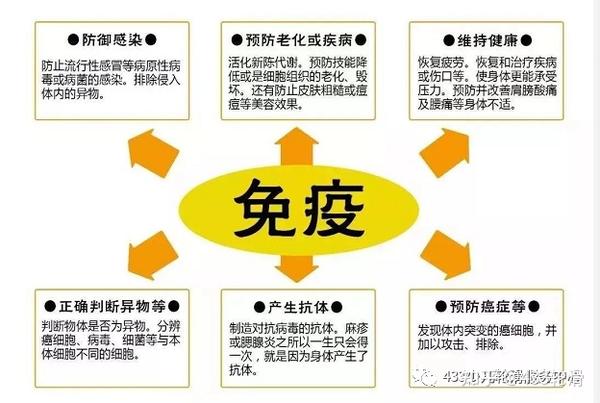 面对疫情提高免疫力才是最好的战斗力