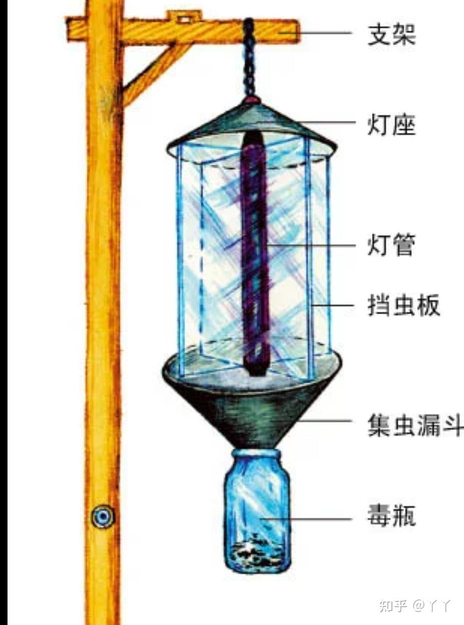 黑光灯诱捕法可以调查趋光性昆虫的物种数目不是只能调查种群密度吗