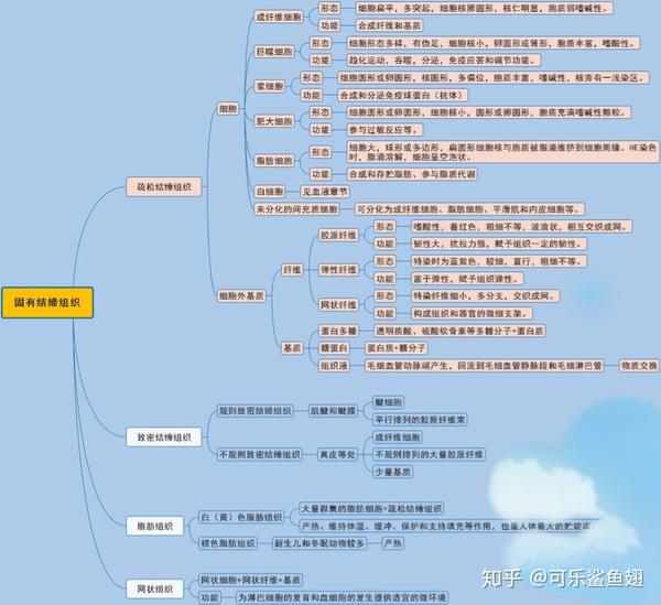 【组织学与胚胎学】期末复习重点——结缔组织篇