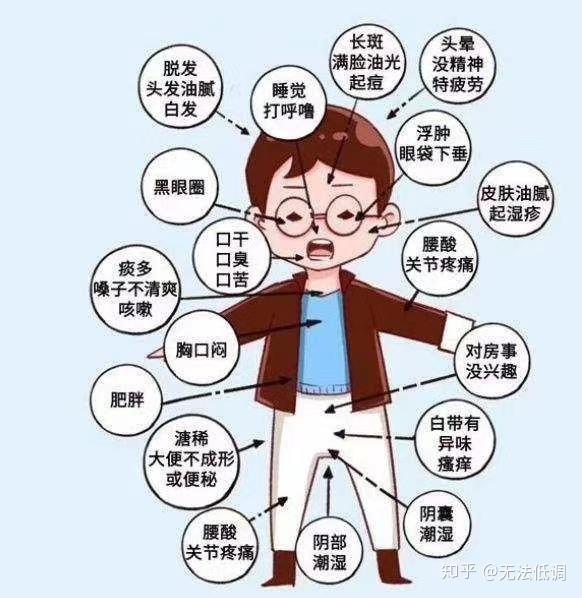 什么是痰湿体质