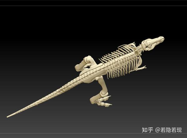 霸王龙骨架3d图下载恐龙骨骼3d图下载恐古化石骨头3d图下载