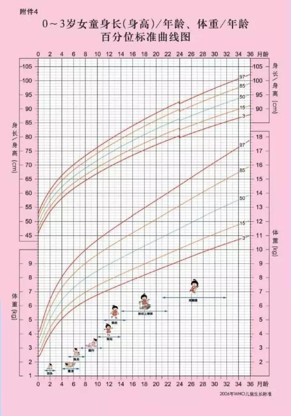 掉入生长曲线图的使用误区,可能会影响宝宝的生长发育