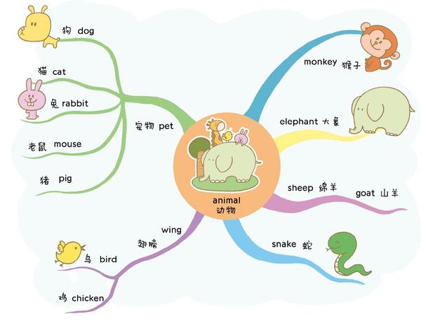 用思维导图图解速记小学800单词,孩子学会了,背单词就