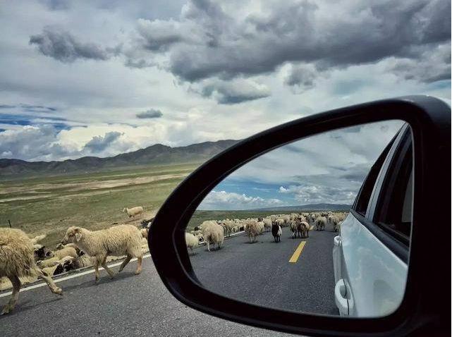 自驾游必看!教你十分钟自检爱车,让安全常伴