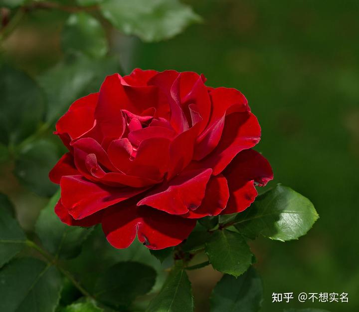 v2 fecd36a29e0ad2e9657741c16e4be8ee 720w