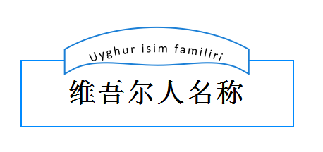 维吾尔人名称简介!