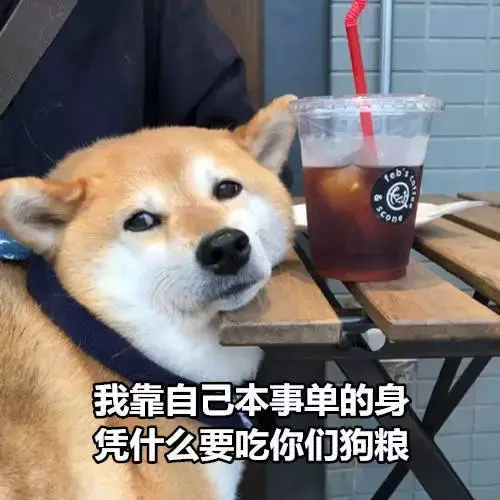 七夕晒萌宠送狗粮赢宠物大礼包