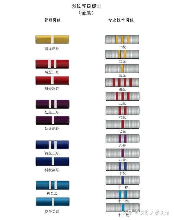 军官晋升实施军衔制那军队文职人员的级别如何辨识
