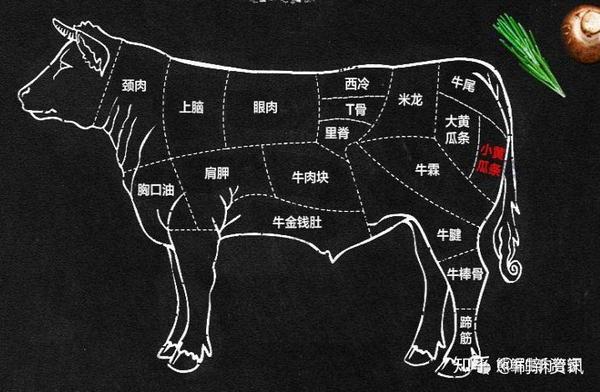 牛肉各部位吃法