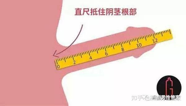 如何正确的测量丁丁长度和周径?男人尺寸大小到底是怎么量的?