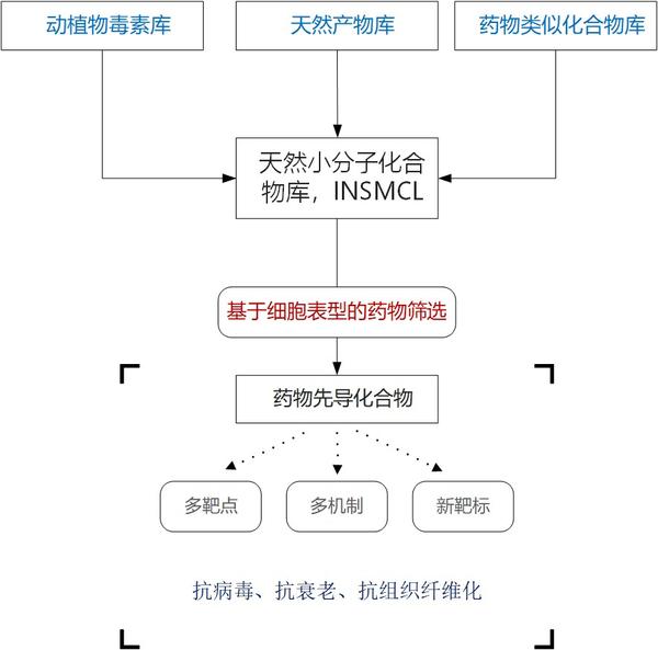 盛普国际药物发现网络联盟iddnu基于表型筛选的全新药物发现体系scpdd