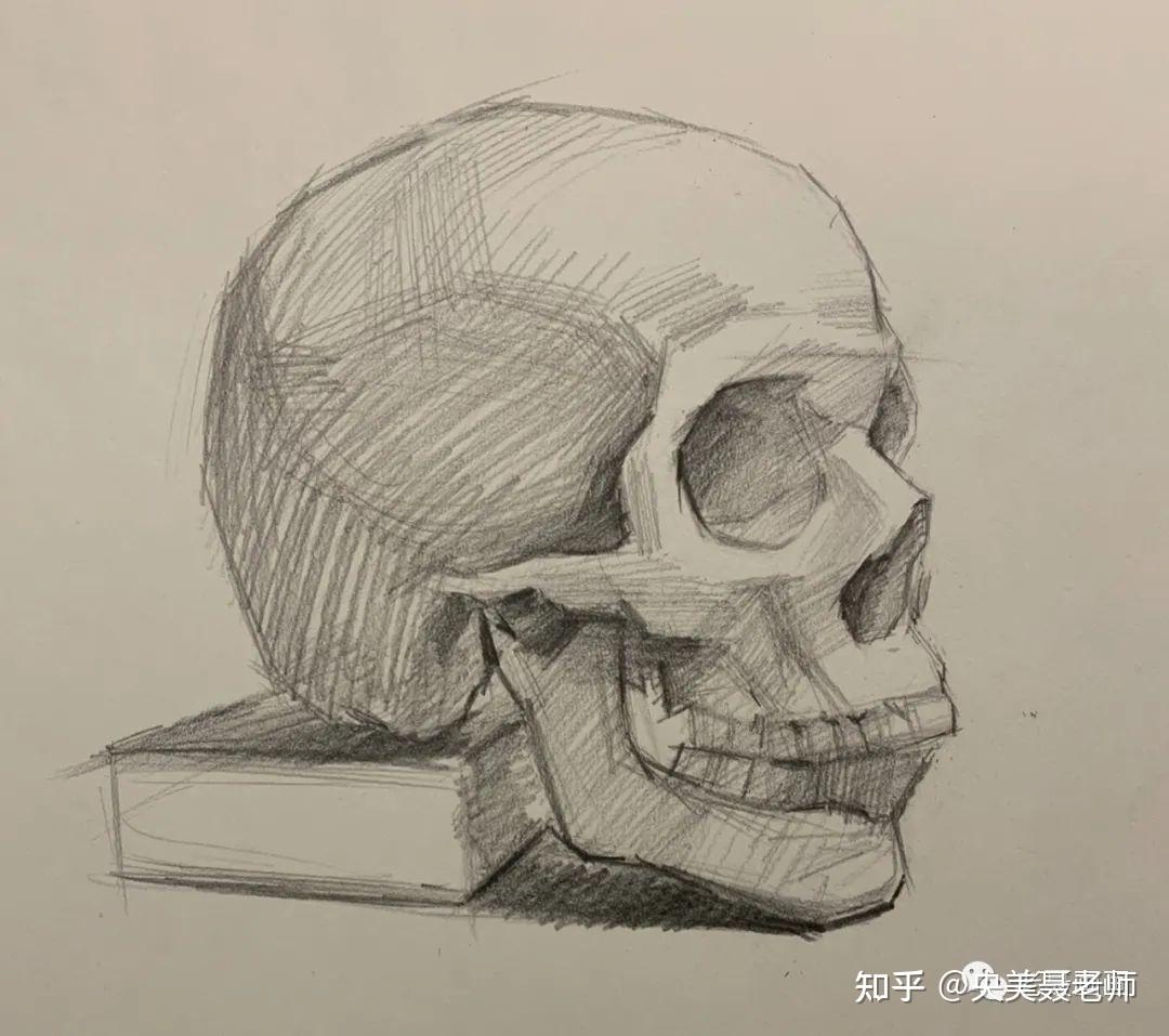 认识头骨以及步骤图