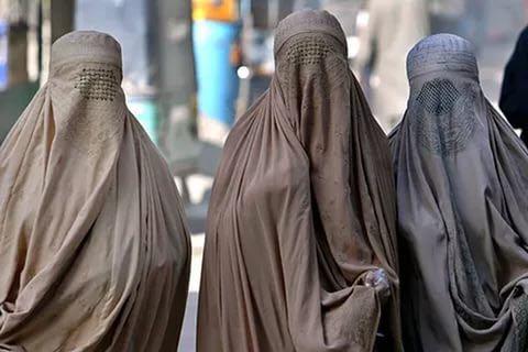 越来越严重的雾霾会损伤我们的头发么? - 大姐