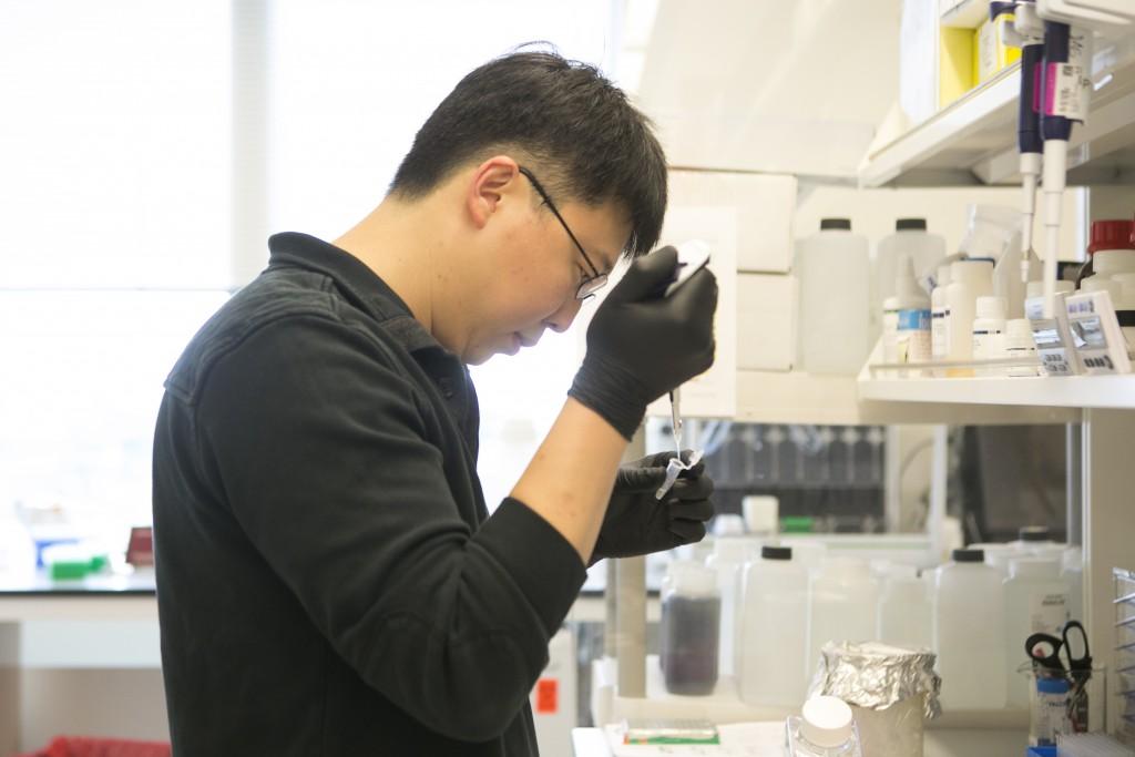 张锋：如何在34岁跻身于世界顶尖生物学家？ - 知乎