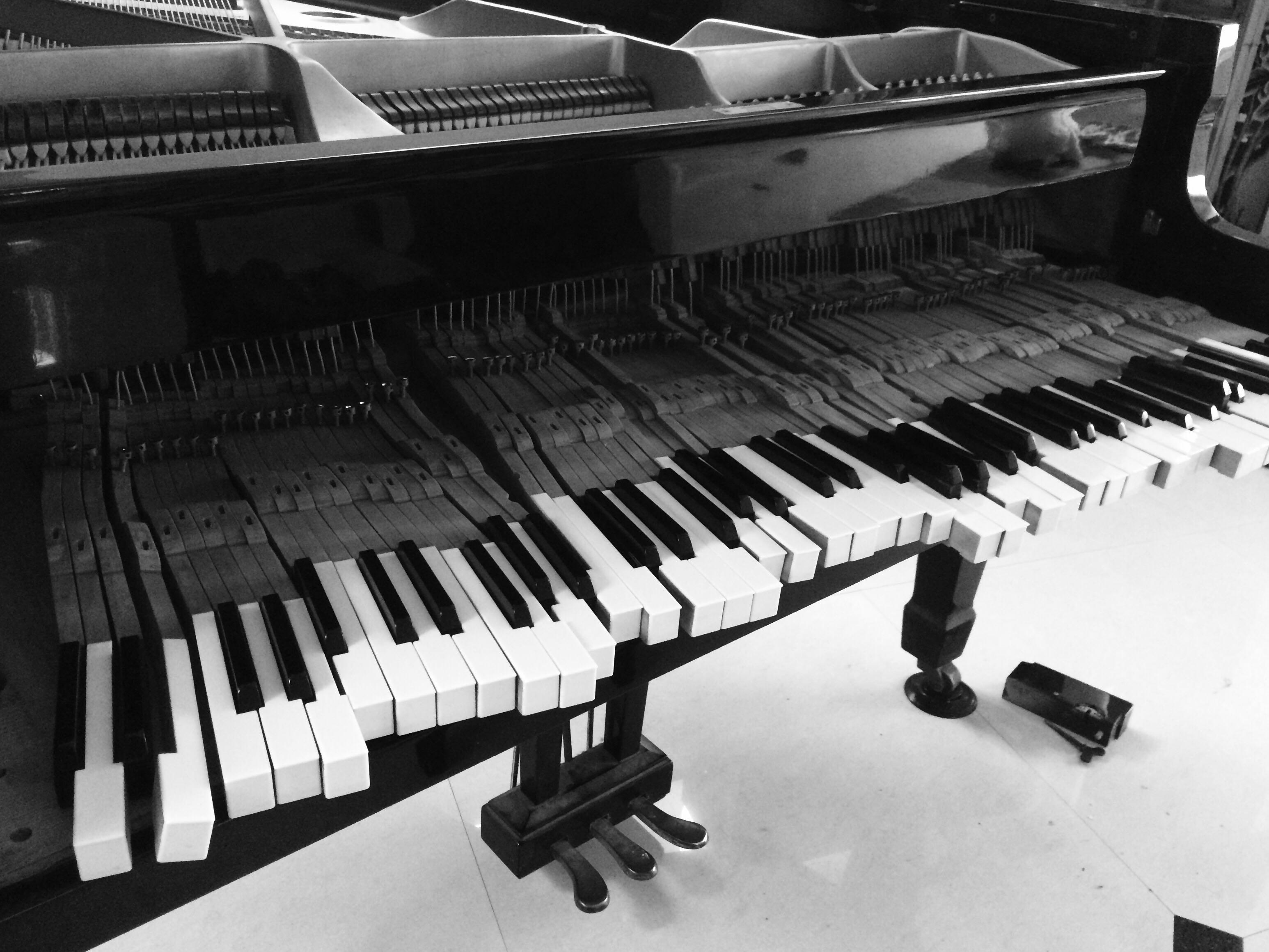 二十五周年庆 | 施坦威家族系列波士顿钢琴 - Steinway & Sons
