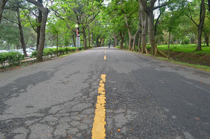 那些年我们一起追过的女孩(电影)里面他们考的
