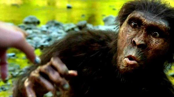 南方古猿lucy一天的生活是怎样的