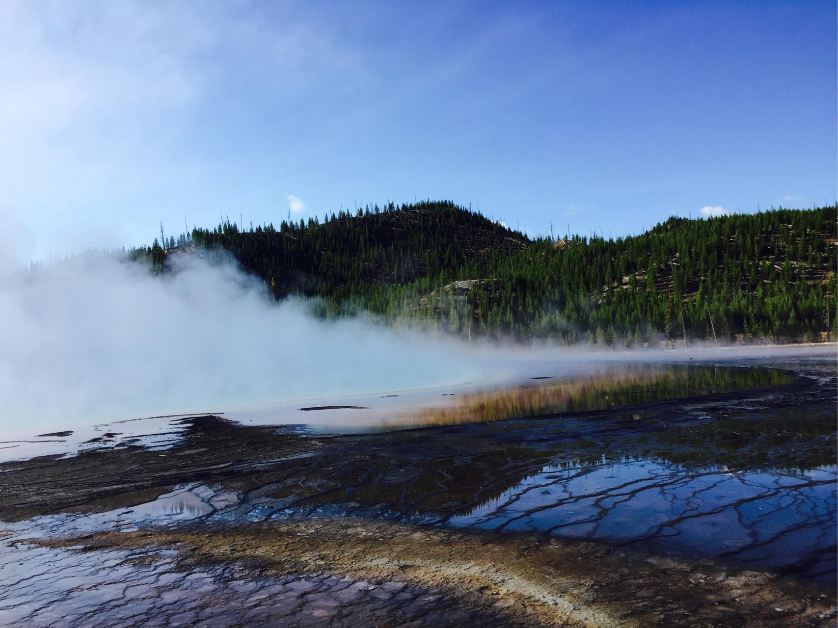 你手机里有什么好看的图片? - 小豆芽的回答