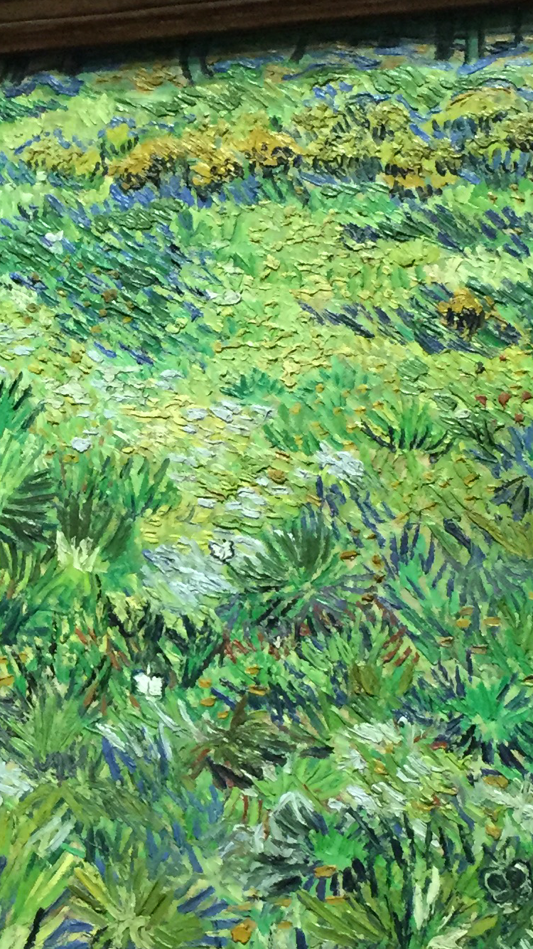 如何欣赏一幅画作品 0800e2526d77c238164c1f677f87152c_r.png