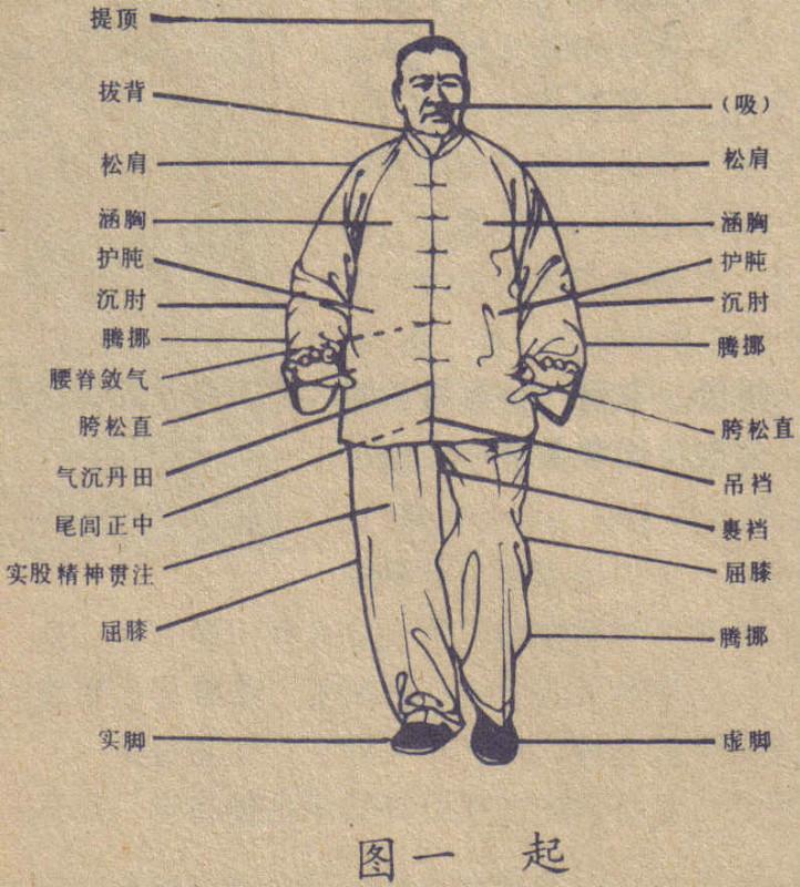 太极基础身法篇