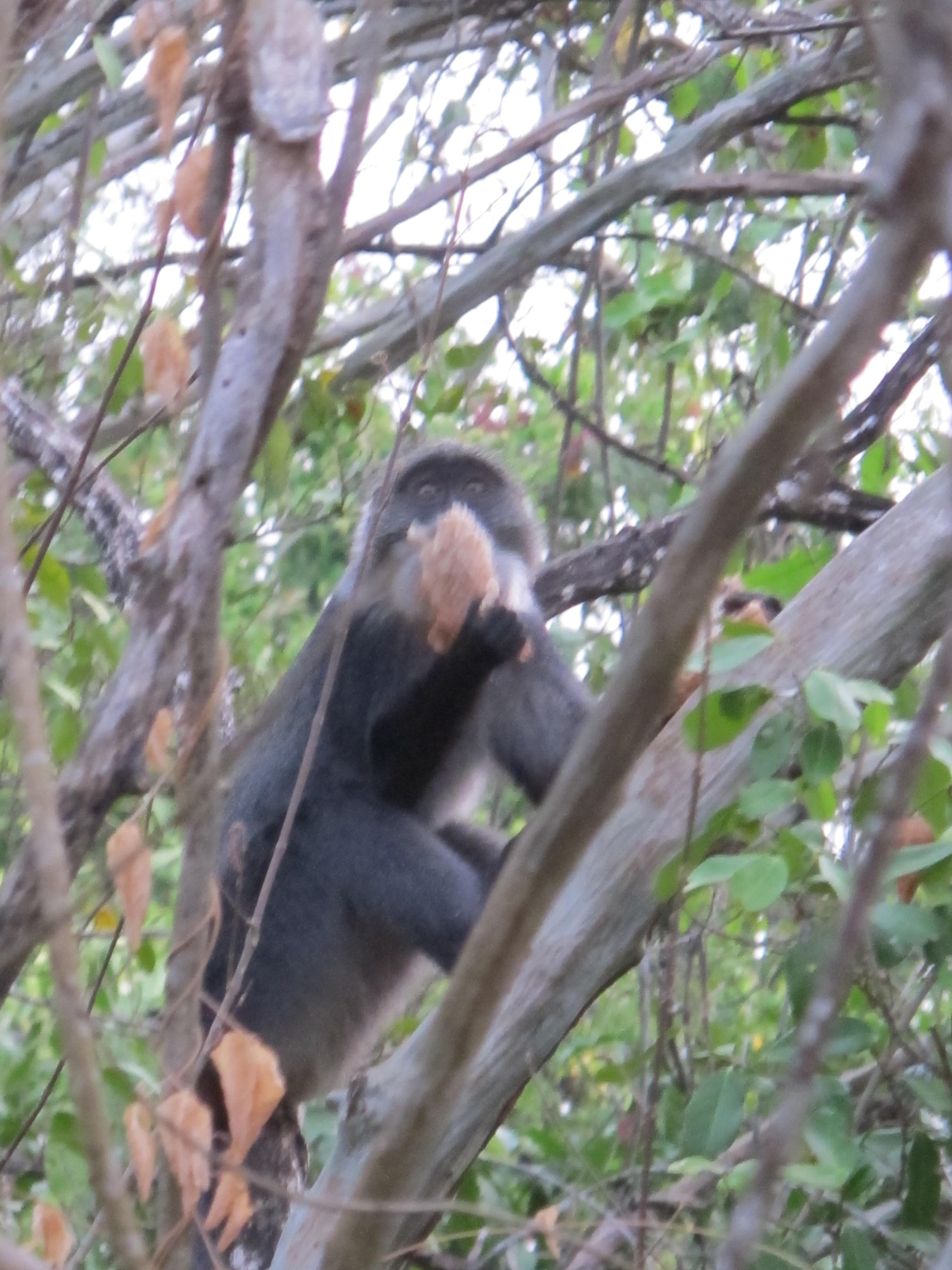 到非洲旅行带 8 岁小朋友同行有哪些需要注意的事项?