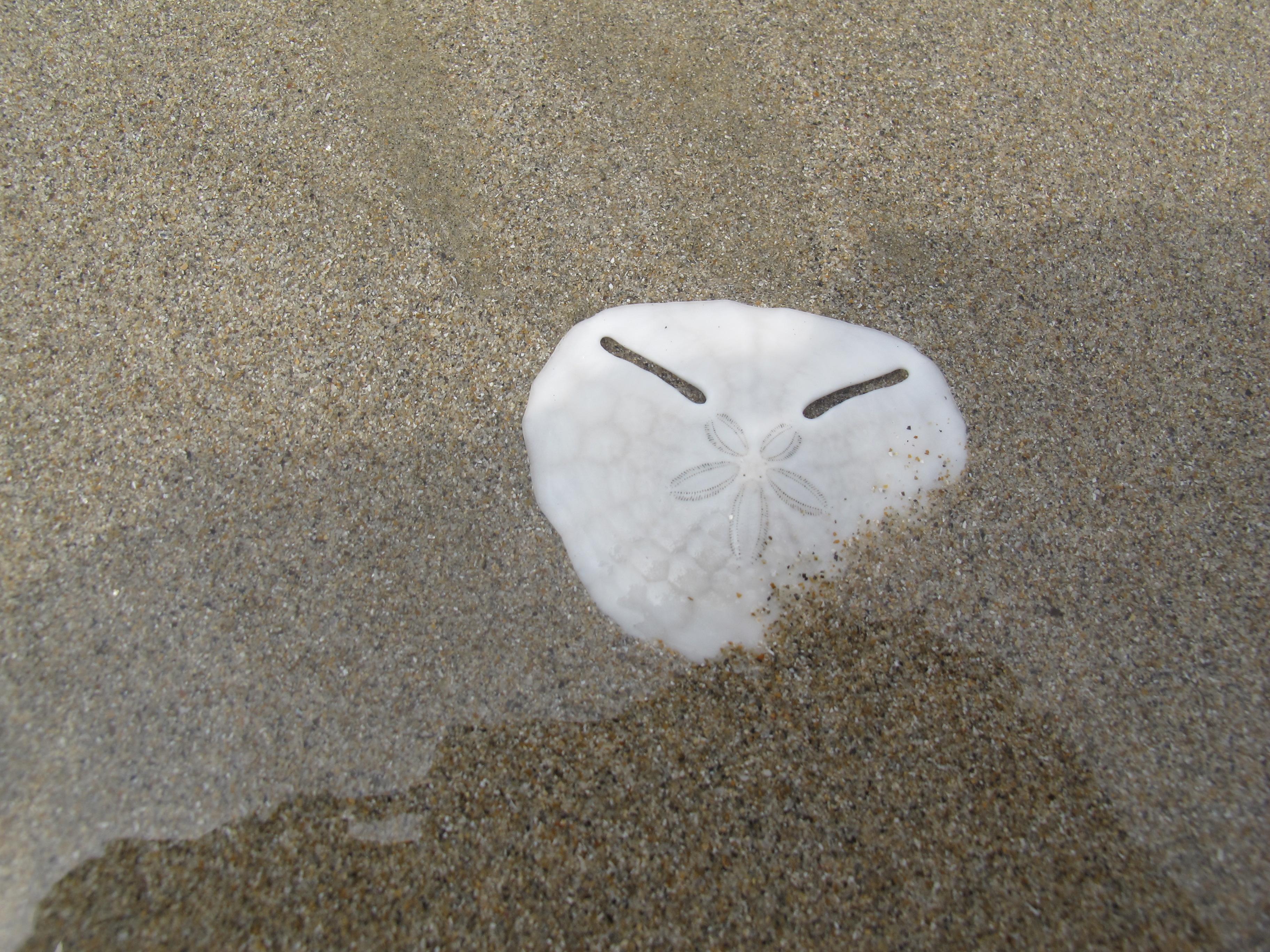 到非洲旅行带 8 岁小朋友同行有哪些需要注意的事项?