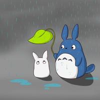 Zhihu profile picture for @shelby