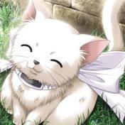Zhihu profile picture for @cairo