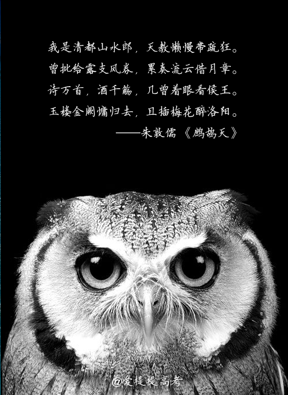 求一些高三的鸡血励志语句? - 高三 - 知乎