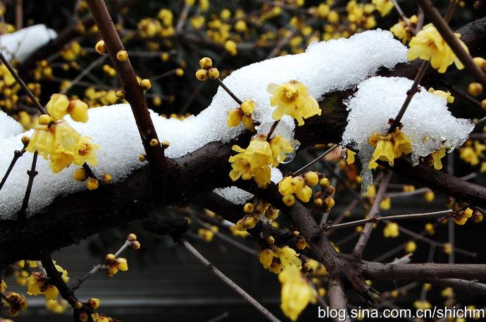 日语里有哪些很美的词?