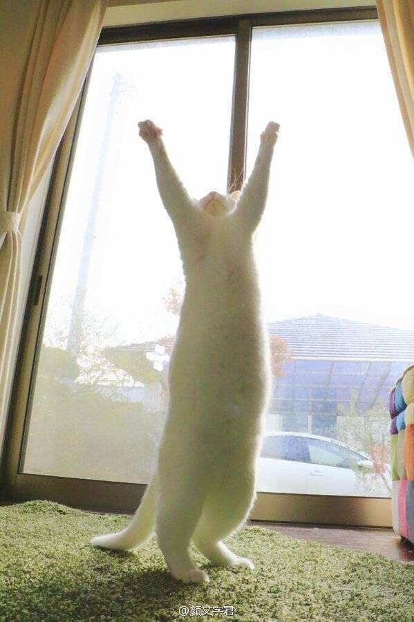 目标移民的话 读college的那个专业比较好? - 留