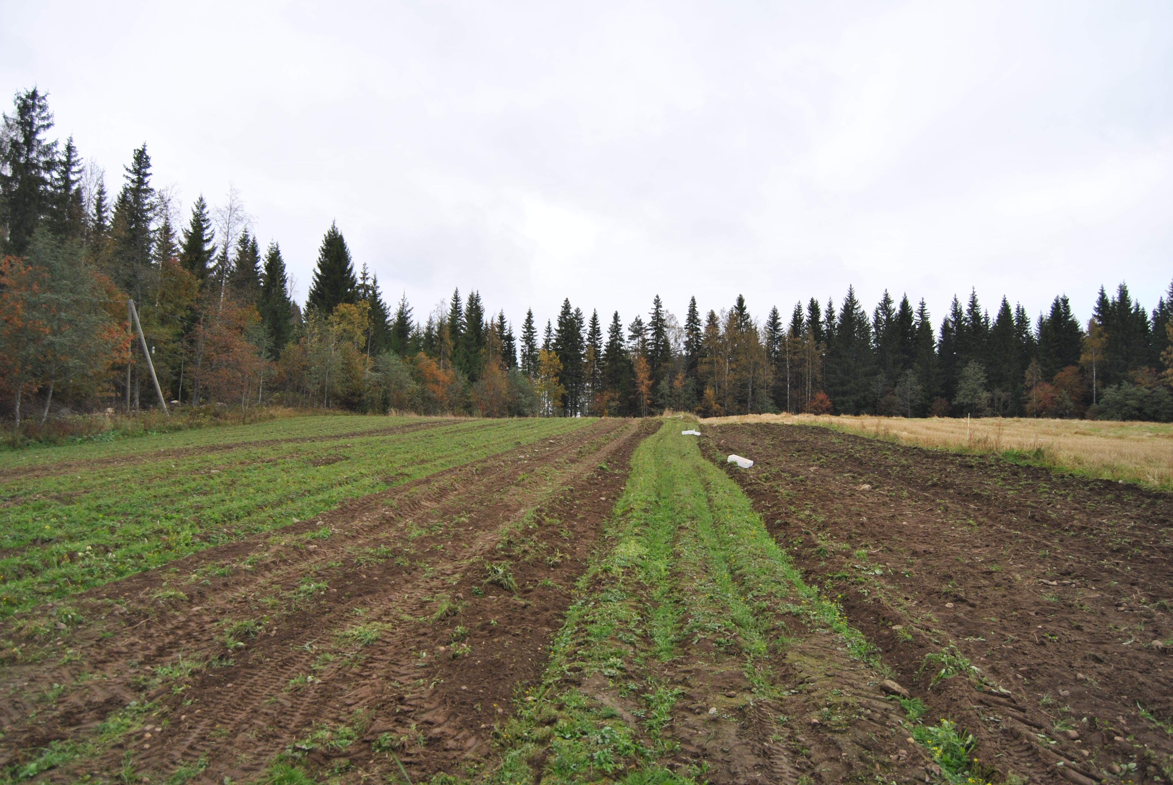 芬兰农业怎么样?算是自给自足吗? - 知乎