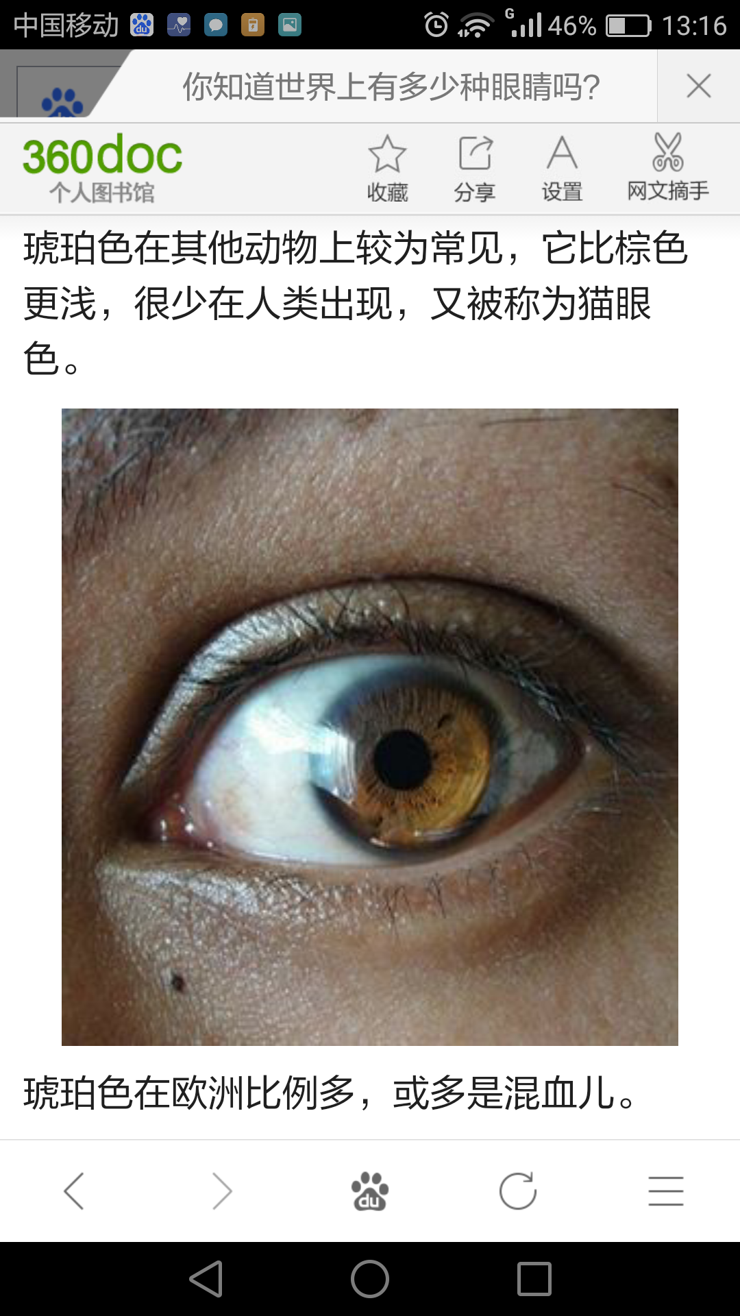 中国人琥珀色瞳孔多吗图片