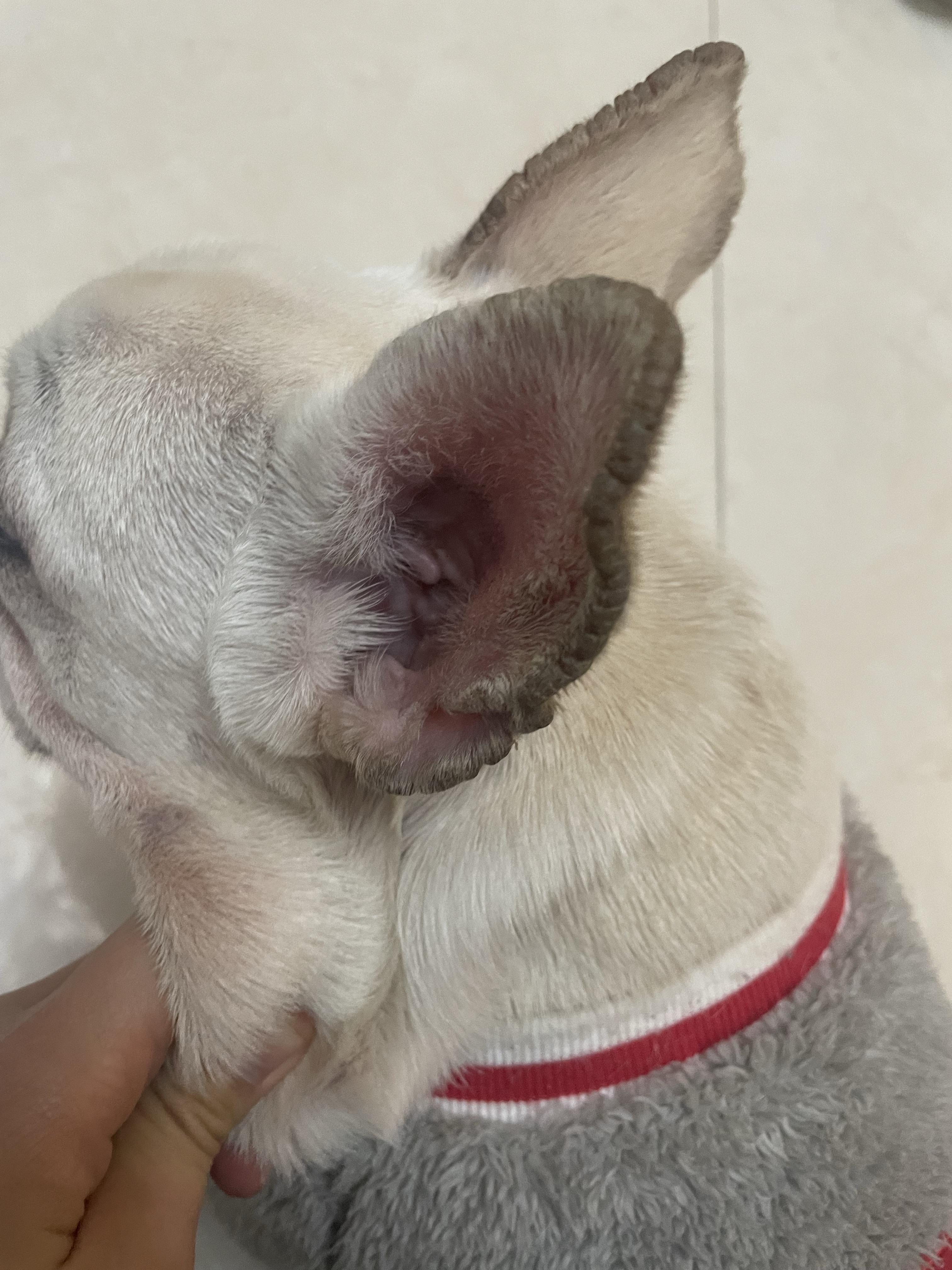 一线 的想法: 请问下大神们,这个症状是怎么回事?