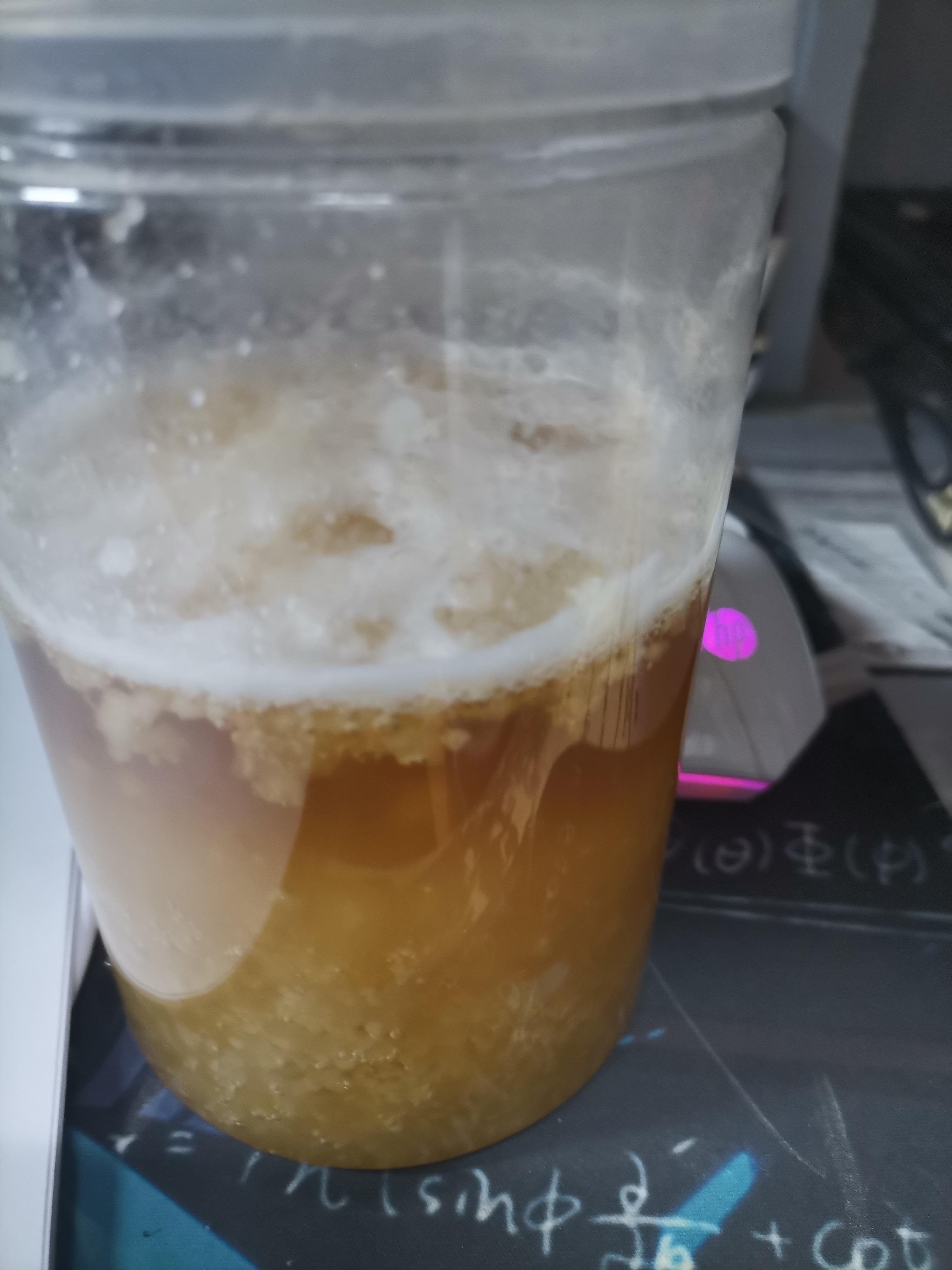 蜂蜜变成酒味是怎么回事(蜂蜜变稀 有酒味)