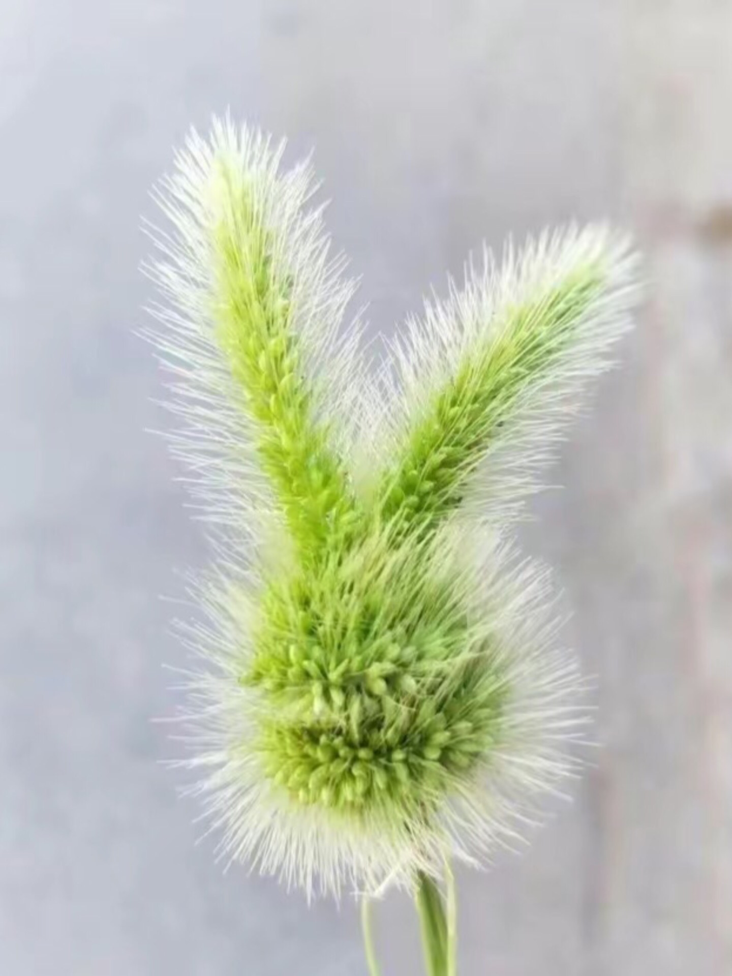 星星 的想法: 人间清醒