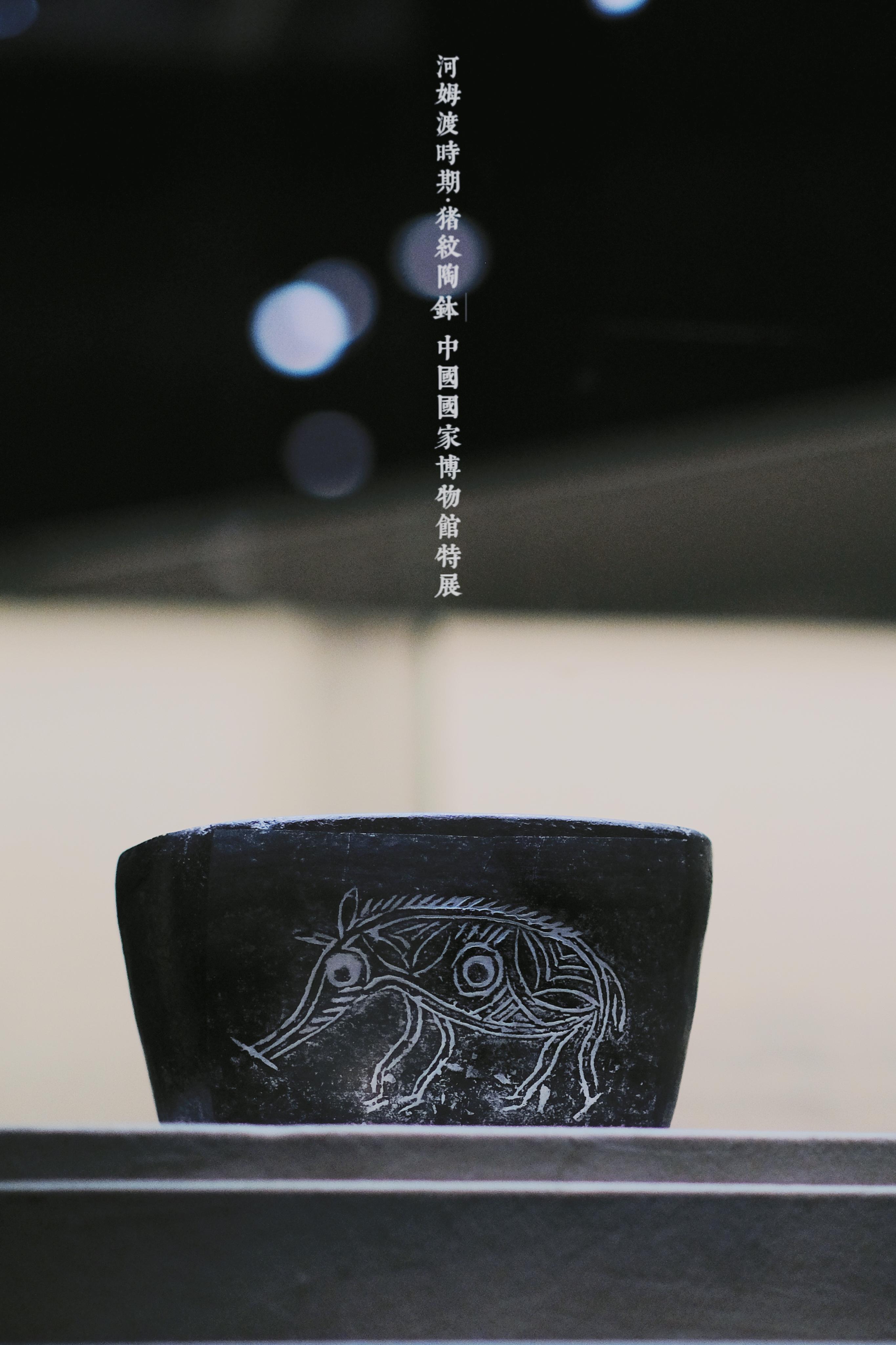 毛宁甘 的想法: 7000年河姆渡小猪首进京