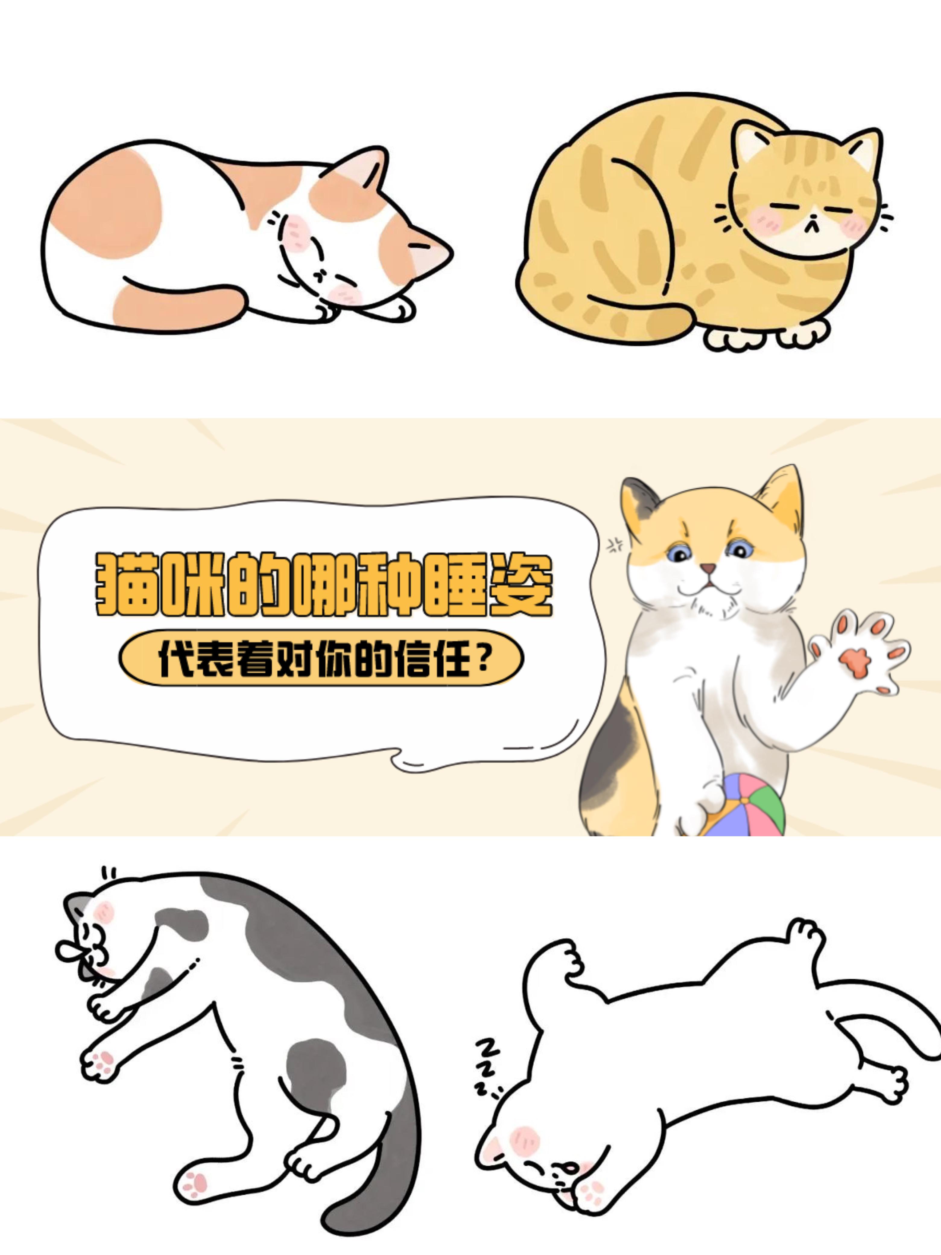 萌宠交流园 的想法: 舒躺式:露出肚子的大字型睡姿,此时的猫咪是在最