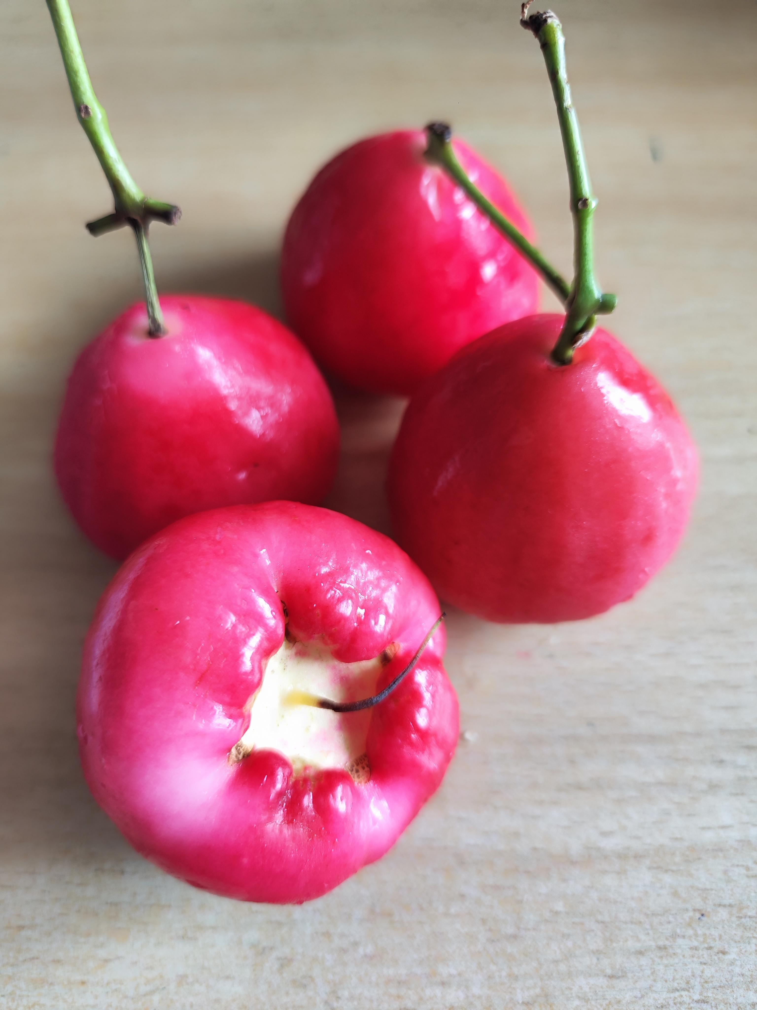 三原色 的想法: 南方绿化带水果